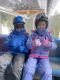 SKI SCHOOL BANSKO TWINS