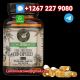 Telegrm/Whatp+1267 227 9080> Buy CBD Oil In Kuwait City, And Doha Qatar