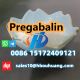 pregabalin powder China supplier deilver to Russia Europe