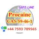 cas 59-46-1 Procaine powder high purity ready ship