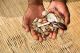 Traditional Healer Prince Akim +27733138119 in LENESIA,