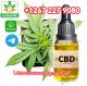 Telegrm/Whatp+1267 227 9080> Buy CBD Oil In Kuwait City, And Doha Qatar