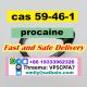 CAS 51-05-8 Procaine hydrochloride supplier Procaine hcl powder door to door