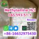 Methylamine Hcl CAS 593-51-1 Methylamine Hydrochloride Fast and Reliable Service