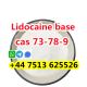 cas 137-58-6 Lidocaine base to europe safety