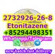 Etonitazene CAS 2732926-26-8