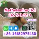 Methylamine Hcl CAS 593-51-1 Methylamine Hydrochloride Fast and Reliable Service