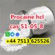 high purity cas 51-05-8 Procaine Hcl Procaine Hydrochloride global ship