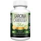 garcinia cambogia