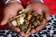 RUSTENBURG IN Traditional Healer[*]&#3061+27818744558&#3061[*][Sangoma-IN KLERKSDORP-Potchefstroom-Zeerust,Tembisa, Randfontein, Douglasdale,Katlehong,Vosloorus, Alberton, East Rand,Vereeniging,Ekurhuleni, Jeffreys Bay, Richards Bay, Krugersdorp, Kempt