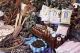 &#10031&#10031.&#9462 IN Pine Town  [+27`60`801`9525]. SANGOMA / TRADITIONAL HEALER  in  Sterkspruit,  Lusikisiki,  Matatiele,  Bochum,  Springs,  Mtubatuba,  Tzaneen,  Giyani,  Jane Furse,  Bushbuckridge,  Northern Groblersdal,  Ulundi,  Kwaggafontine,  