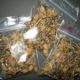 magic mushrooms for sale  Online  Wickr IDAlendro1960
