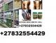 +27832554429 noorani super power PENIS ENLARGEMENT