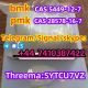 CAS 28578-16-7 52190-28-0 PMK ethyl glycidate Telegarm/Signal/skype:+44 7410387422