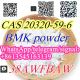 BMK Powder CAS 20320-59-6 with Safe and Fast Delivery WhatsApp+8613545163139