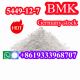 BMK Glycidic Acid powder (sodium salt) with bulk order in stock