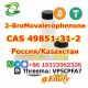 2--1--1- cas 49851-31-2   