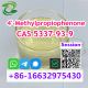 Authentic 4-Methylpropiophenone CAS 5337-93-9 Shop with Confidence