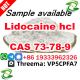 Lidocaine powder CAS 73-78-9 Lidocaine Base