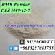 Telegram@cielxia Cheap Price CAS 5449-12-7 BMK Powder BMK Glycidic Acid (sodium salt)