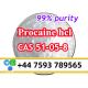 cas 51-05-8 Procaine Hcl Procaine Hydrochloride ship to Holland