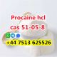 high purity cas 51-05-8 Procaine Hcl Procaine Hydrochloride global ship