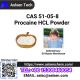 Procaine HCL Powder CAS 51-05-8 Local Anesthesia with Stock APIs
