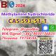 CAS 593-51-1  Methylamine hydrochloride  +86 19030156835