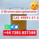 2-Bromovalerophenone CAS 49851-31-2 Fast and Safe Delivery