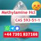 Methylamine HCL CAS 593-51-1 Cheap Price with Fast Delivery